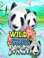 รีวิวฝาก 100 ฟรี 100สล็อต xo1234 พร้อมวิธีเพิ่มโอกาสชนะ